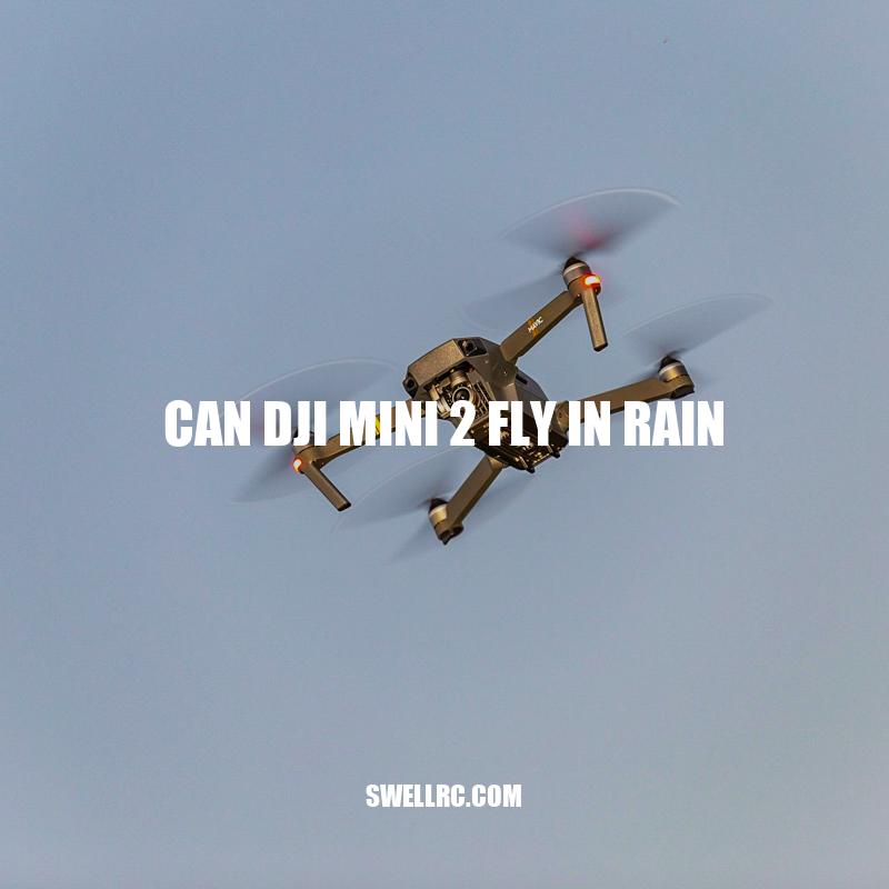Can DJI Mini 2 Fly in Rain? Understanding Its Weather Resistance