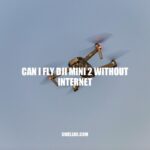 Fly DJI Mini 2 without Internet: A Guide