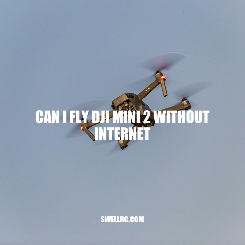 Fly DJI Mini 2 without Internet: A Guide