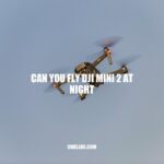 Flying DJI Mini 2 at Night: Rules, Limitations, and Safety Tips