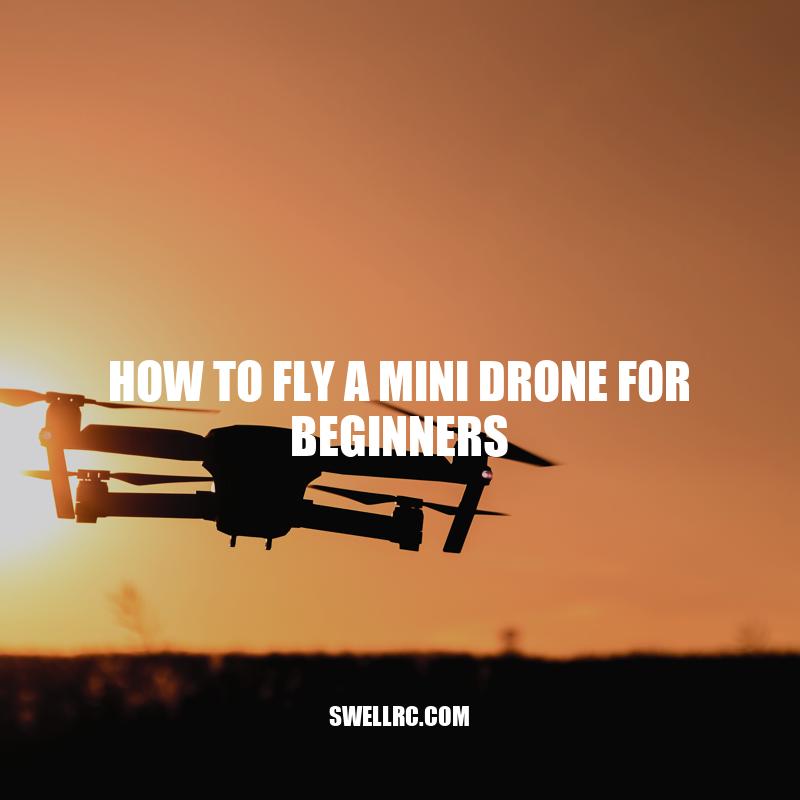 Mini Drone Flying: Beginner's Guide