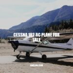 Cessna 182 RC Plane: The Ultimate Guide to Features, Flying and Buying