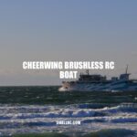 Cheerwing Brushless RC Boat: Top Features, Performance, and Pros/Cons