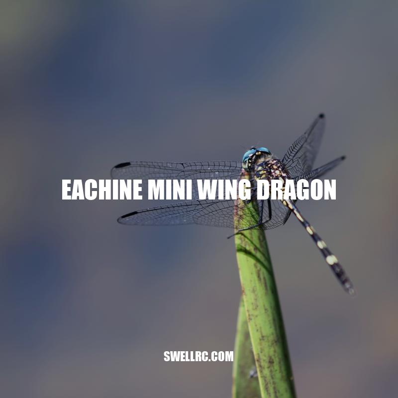 Eachine Mini Wing Dragon: A Lightweight and Feature-Packed RC Airplane