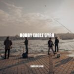 Enhance your RC Aircraft's Stability with Hobby Eagle Gyro