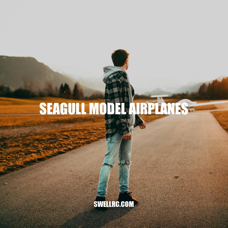 Exploring Seagull Model Airplanes: Building and Flying Guide