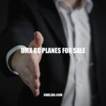 Exploring UMX RC Planes for Sale: Type, Features, Price Range and Where to Buy