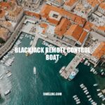 Exploring the Advantages of Blackjack Remote Control Boats