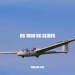 Exploring the DG 1000 RC Glider: Features, Tips, and Performance