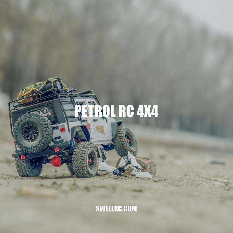 Exploring the Exciting World of Petrol RC 4x4 Cars