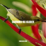 Exploring the Sunbird RC Glider: Features, Performance, and Value