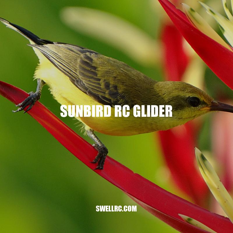 Exploring the Sunbird RC Glider: Features, Performance, and Value