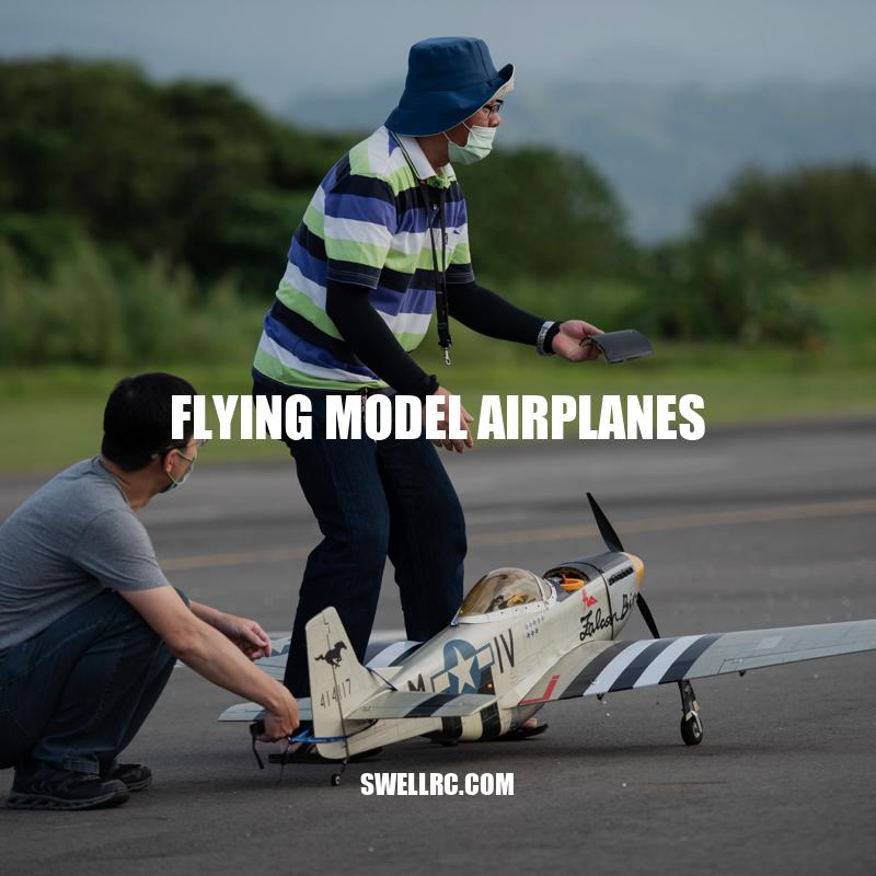 Exploring the World of Flying Model Airplanes