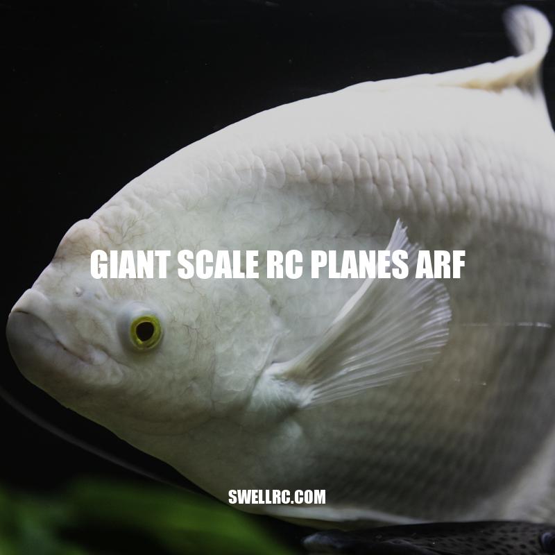 Giant Scale RC Planes ARF: A Comprehensive Guide to Building and Flying