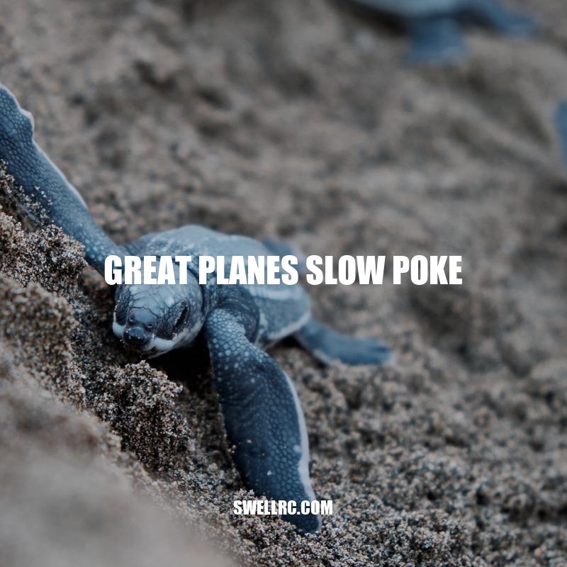 The Great Planes Slow Poke: A Beginner's Guide to RC Flying