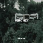 UDIRC 1603 Drone Review: Performance, Design and Camera Quality