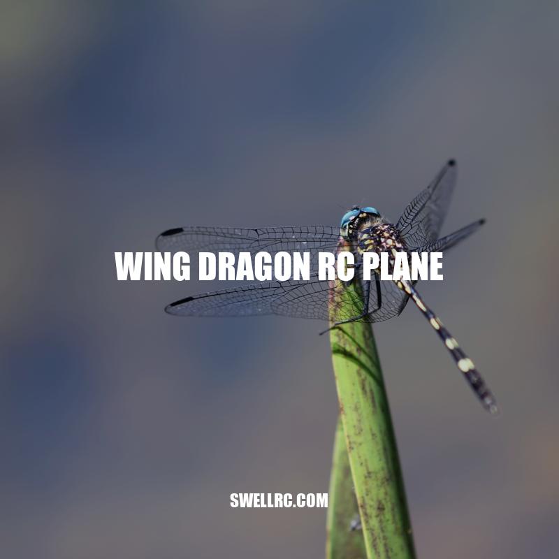 Wing Dragon RC Plane: A Reliable and Versatile Choice for Pilots