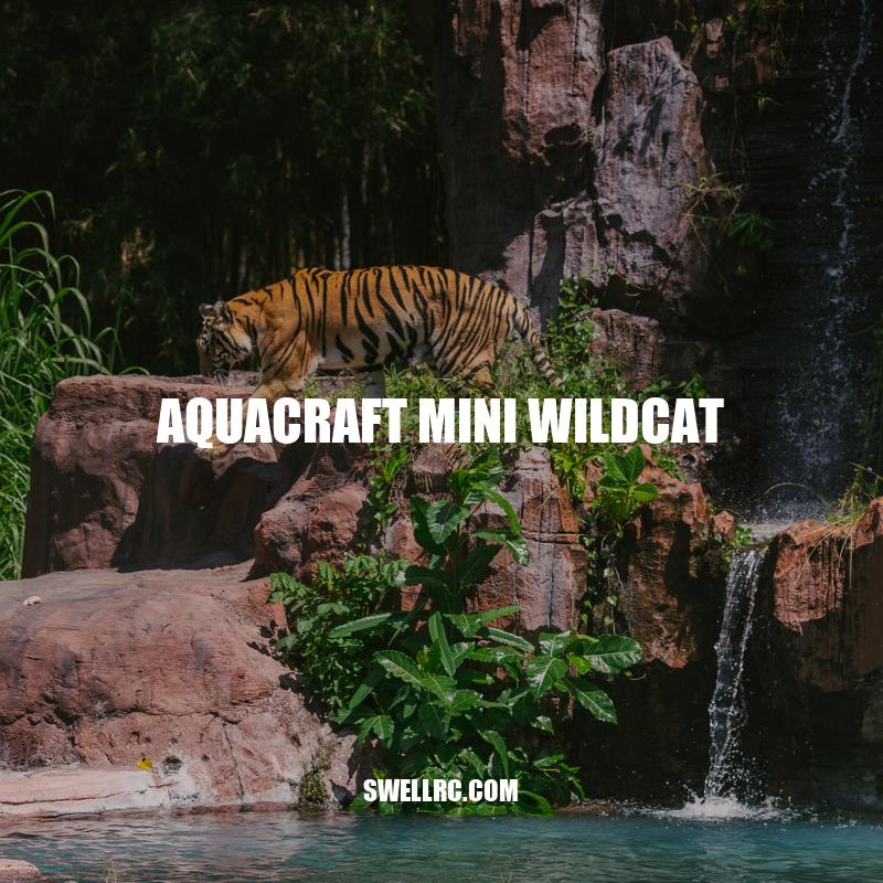 Aquacraft Mini Wildcat: Unleashing Power-packed Performance on Water