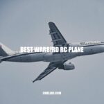Best Warbird RC Planes: Top Picks for Authentic Flight Experience