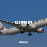 Building and Flying the RC Boeing 787: A Model Aviation Thrill