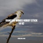 Dancing Wings Hobby Stick 14 V2: A Lightweight Foam Remote Control Aircraft