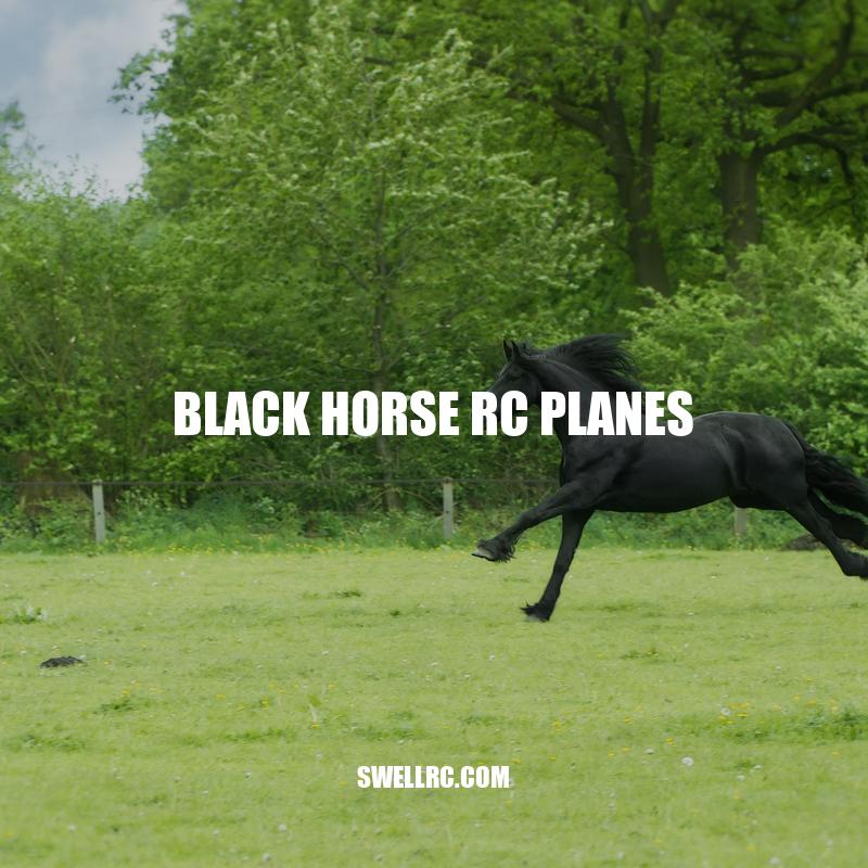 Discover Black Horse RC Planes: High-Quality Flying Models for Intermediate and Advanced Pilots