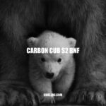 Explore the Features and Benefits of Carbon Cub S2 BNF Aircraft