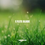 Exploring the Versatility and Performance of the E Flite Blade