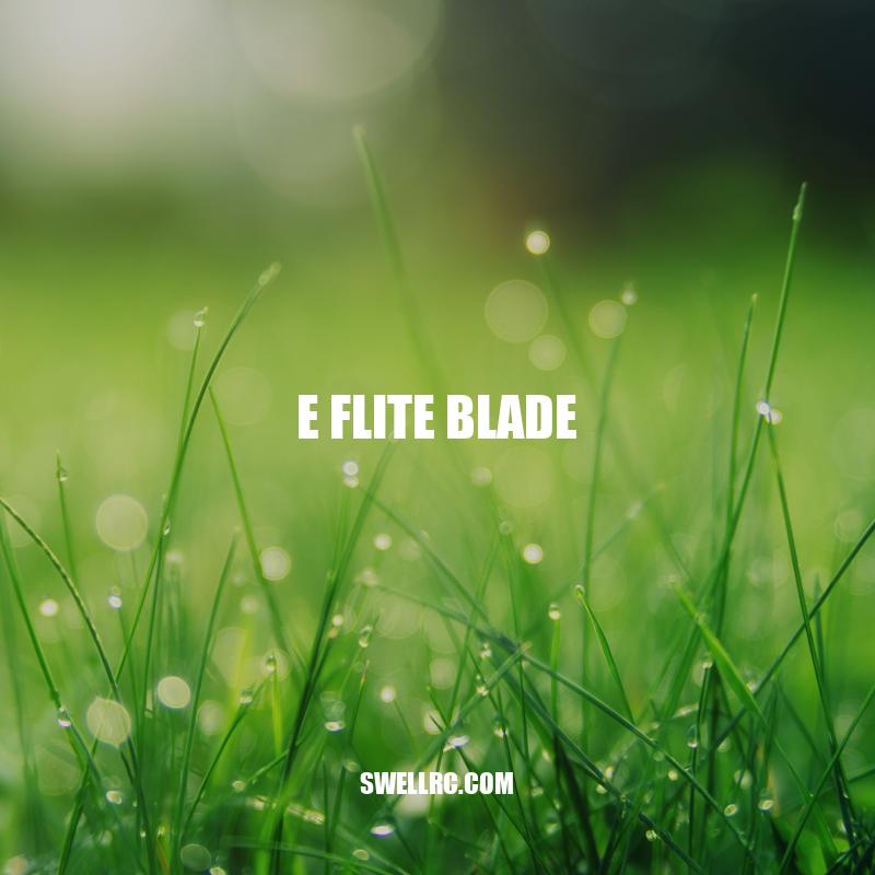 Exploring the Versatility and Performance of the E Flite Blade