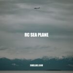 Exploring the Waters: A Guide to RC Sea Planes