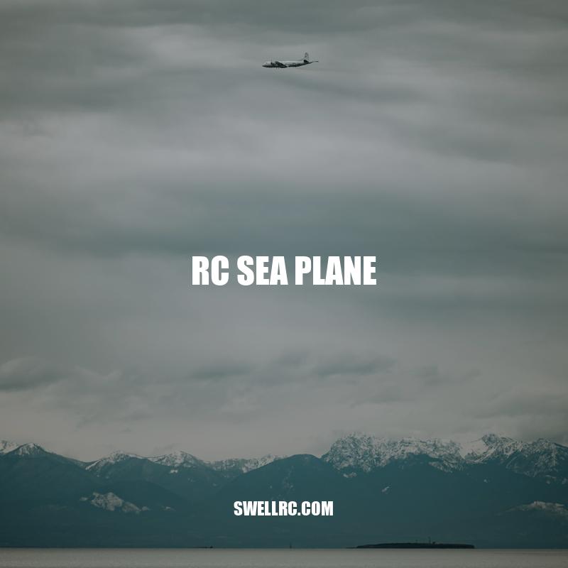 Exploring the Waters: A Guide to RC Sea Planes