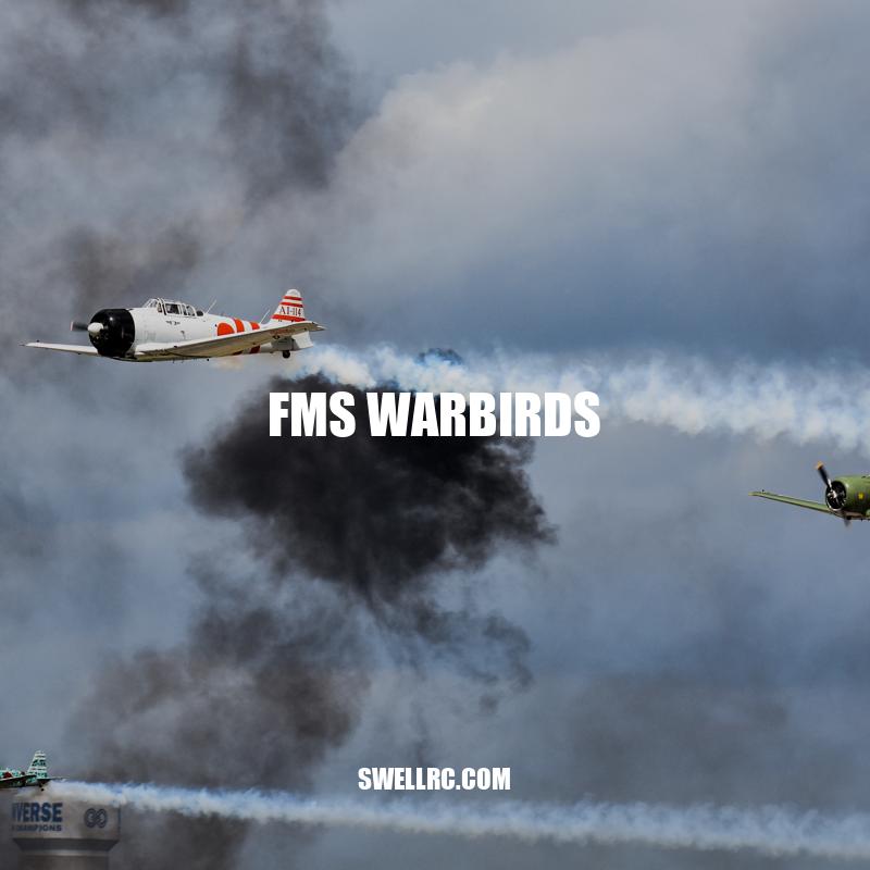 FMS Warbirds: Experience the Thrill of Flying Your Own Highly Customizable Model Airplane