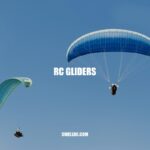 Guide to RC Gliders: Soaring through the Skies