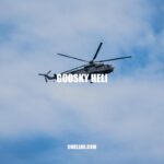 Mastering Your Goosky Heli: Tips and Tricks for Successful Flights
