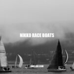 Nikko Race Boats: High-Speed Remote Control Boating Fun