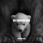 RC Carbon Cub - A High-Performance Remote-Control Model Aircraft