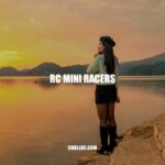 RC Mini Racers: Everything You Need to Know