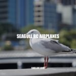 Seagull RC Airplanes: High-Performance Models for Beginner to Expert Fliers
