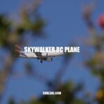 Skywalker RC Plane: Features, Flight Performance, and Customizability.