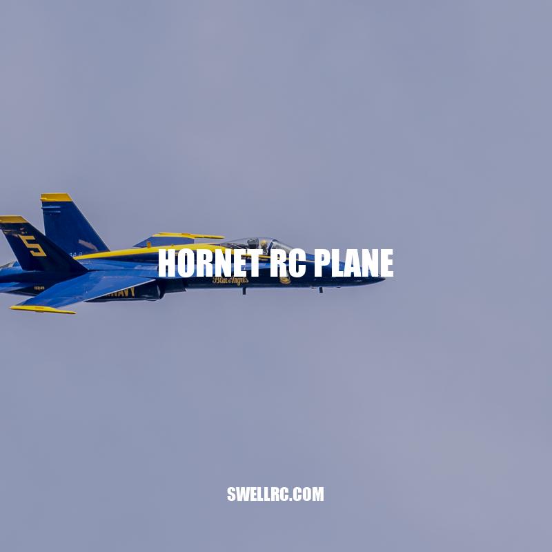 The Hornet RC Plane: A Complete Guide
