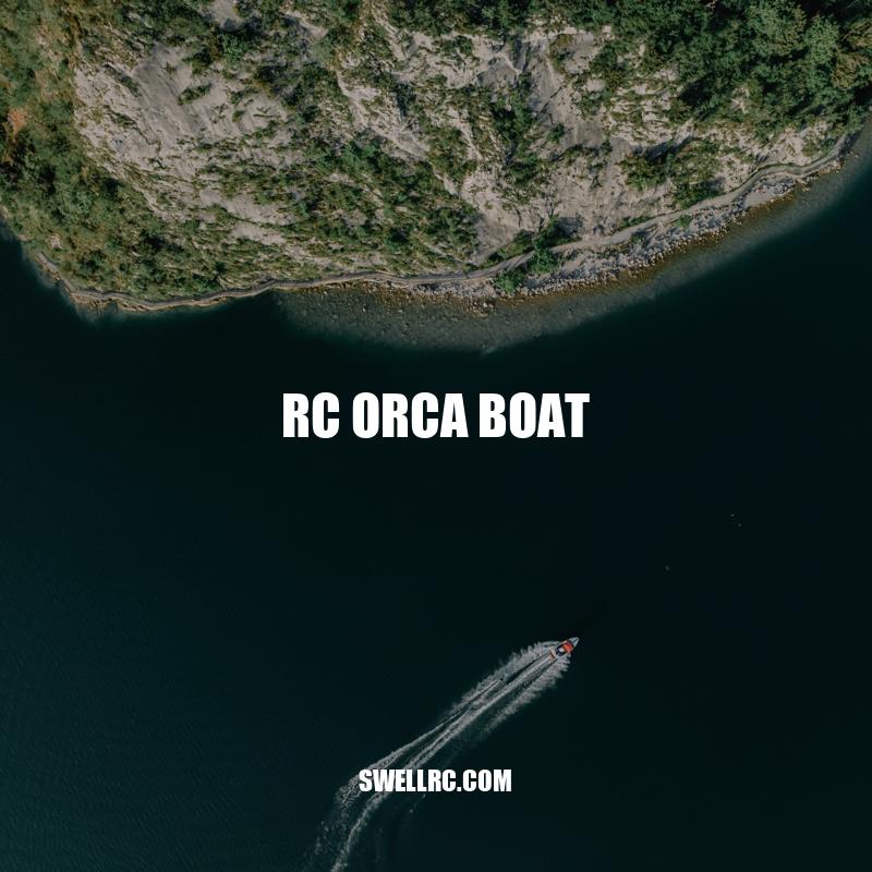 Unleash the Fun with RC Orca Boat - A Guide to Features, Performance and Maintenance