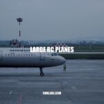 Unleashing the Thrills: Exploring Large RC Planes