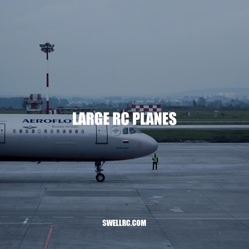 Unleashing the Thrills: Exploring Large RC Planes