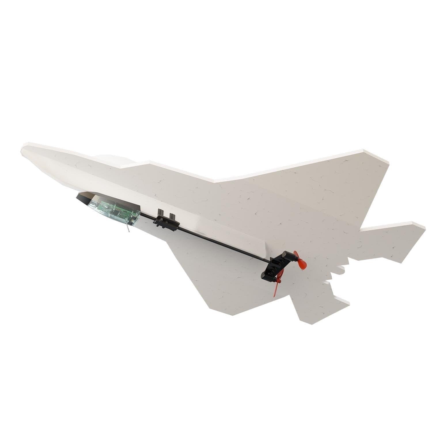 Raptor Rc Plane: Recommended retailers and tips for purchasing the Raptor RC Plane