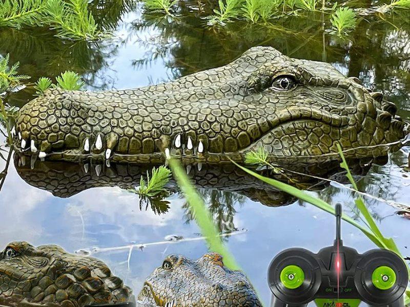 Rc Alligator Head: Positive Customer Reviews for RC Alligator Head