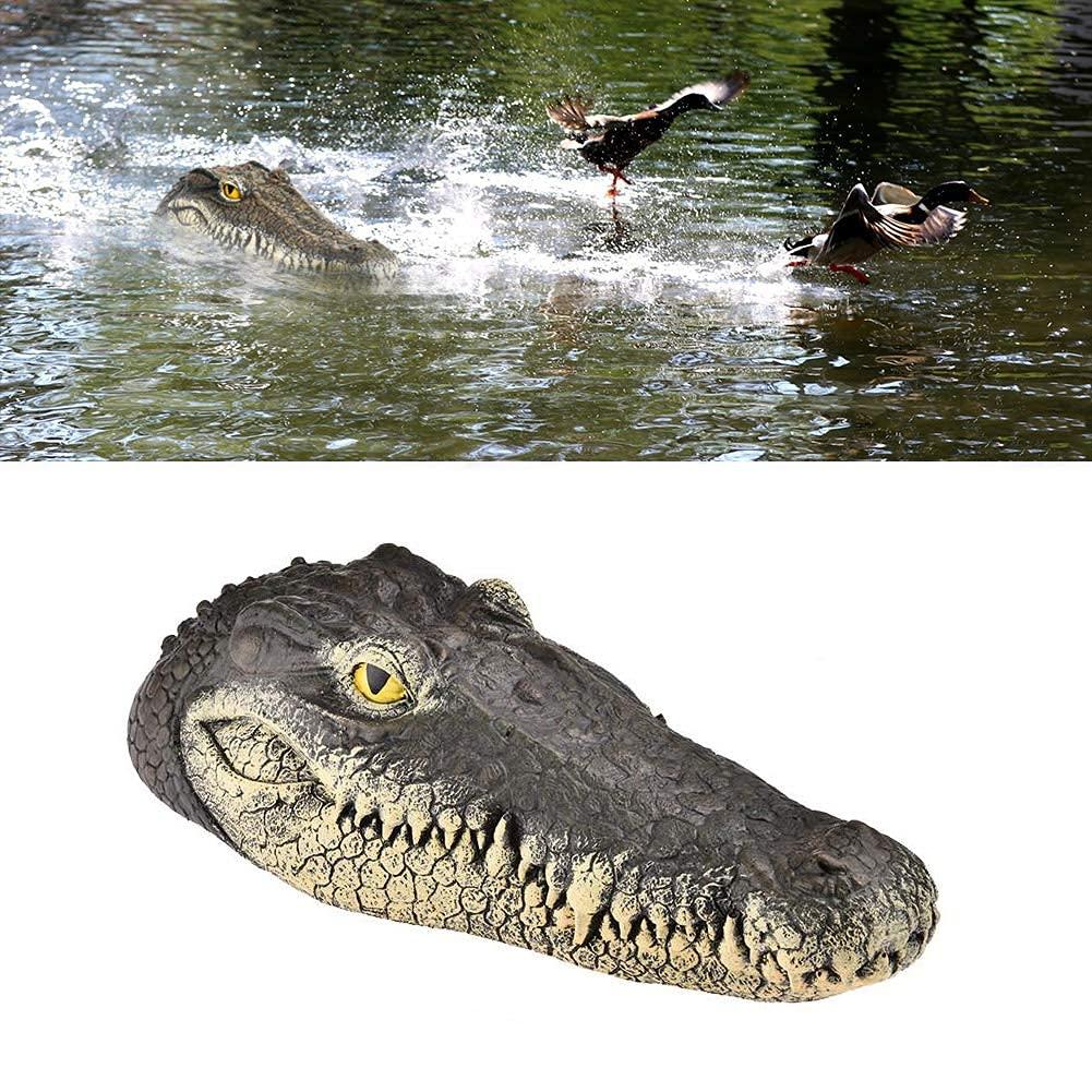 Remote Control Alligator Head: Positive Customer Reviews
