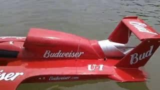 Miss Budweiser Rc Boat For Sale: Miss Budweiser RC boats: Factors to consider when shopping and where to find them.