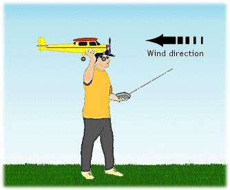 Flying Model Airplanes For Beginners: Safety Tips for Flying Model Airplanes