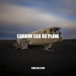 Crazy about Cubs: A Guide to the Carbon Cub RC Plane