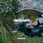 Discover the Advantages of 2WD RC Buggies